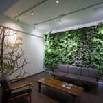 Benefits of Using Green Plants in Home Interior